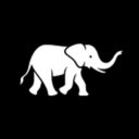 Peter Schmidt Group company logo