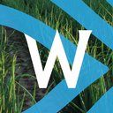Waterman Onions company logo