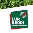 LUR BERRI company logo