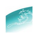 Rapport company logo