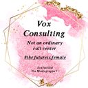 VoxConsulting company logo