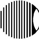 EAST FLORIDA EYE INSTITUTE company logo