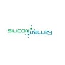 Silicon Info company logo