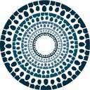 paraDIGMA groep company logo