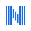 NaturalSoft Limited company logo