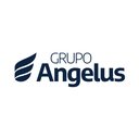 Grupo Angelus company logo