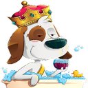 Rainbow Grooming Company company logo