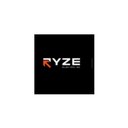 Ryze Electric Inc