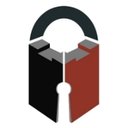 Shaw Secure Solutions LLC company logo