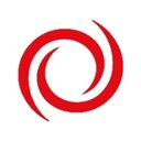 Systems Evolution, Inc company logo