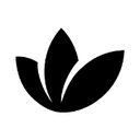 Eufora International company logo