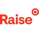 RAISE Project company logo