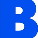 Berlitz Schools of Languages B.V. company logo