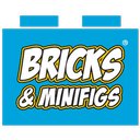 Bricks &amp; Minifigs company logo