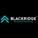 Blackridge Research &amp; Consulting company logo