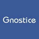 Gnostice Information Technologies company logo