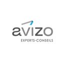 Avizo Experts-Conseils company logo