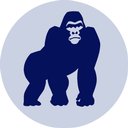 BlueKong Networks Limited company logo