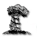 Arrowhead Orthopaedics company logo