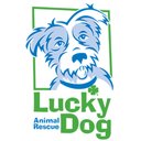 Lucky Dog Animal Rescue company logo