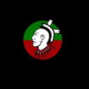 Sac and Fox Tribe of Iowa company logo