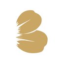 Blossom company logo