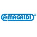 Magaldi Industrie S.r.l. company logo