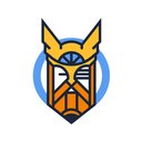 Odin Wise Academy company logo