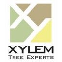 Xylem Tree Experts company logo