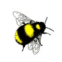 Buttle Plc company logo