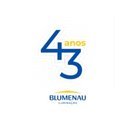 BLUMENAU ILUMINACAO LTDA company logo