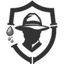 Drain Detectives company logo