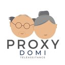 PROXYDOMI company logo