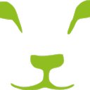 LION finance company logo