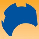 Camelot Accountancy company logo