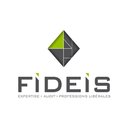 FIDEIS CONSULTANTS company logo