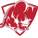 Bull Run Transportation Inc. company logo