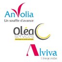 ANVOLIA company logo