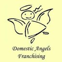 Domestic Angels company logo