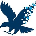 DAS Federal company logo