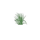 Meadows Community Association, Inc. company logo