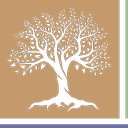 Healthy Aging Physical Therapy company logo