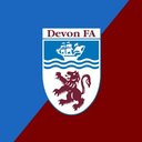 Devon County Football Association company logo