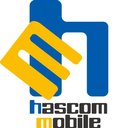 株式会社ハスコムモバイル company logo