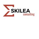 Skilea Consulting company logo