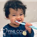 Pine Cove Dental company logo