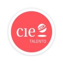 GRUPO CIE company logo