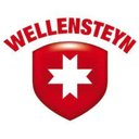 Wellensteyn company logo