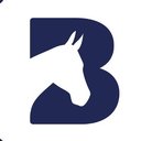 Bransby Horses company logo