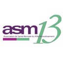 ASM 13 company logo